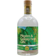 Pocketful of Stones Pilgrim & Galaxy Hop Gin