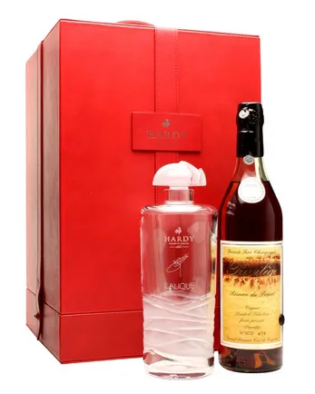 Hardy Privelege Caryota Cognac
